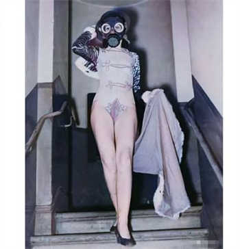 女人与公牛相交视频