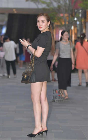 杨一凡资源