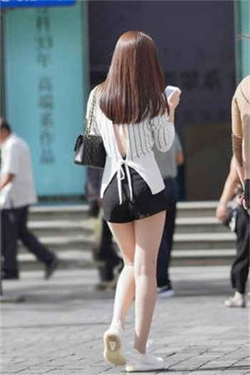 雏姬app破解版百度云