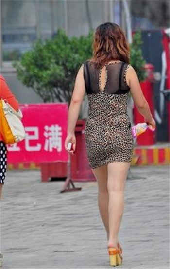 第七任新娘免费阅读任