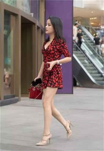27报动图480期
