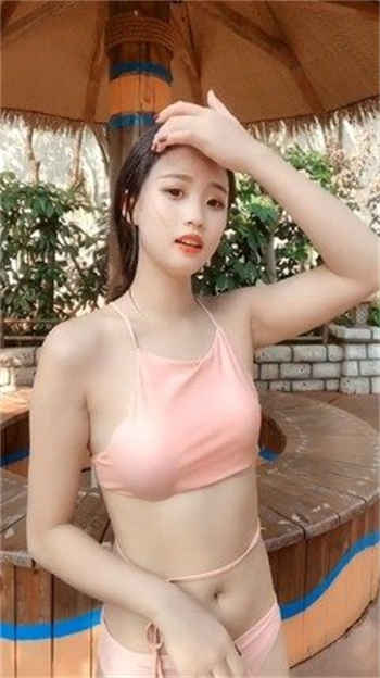 雏姬破解版