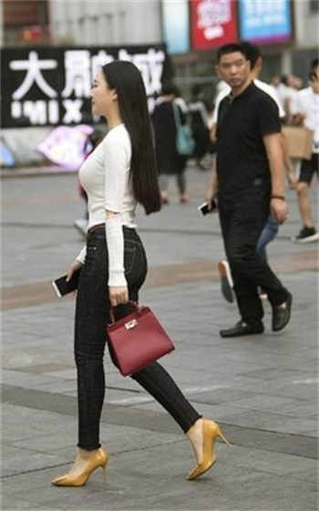 女组织部长免费阅读