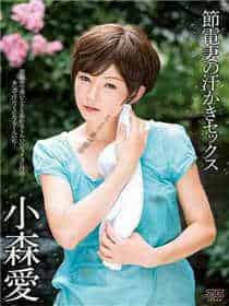 少爷 夫人又跑了