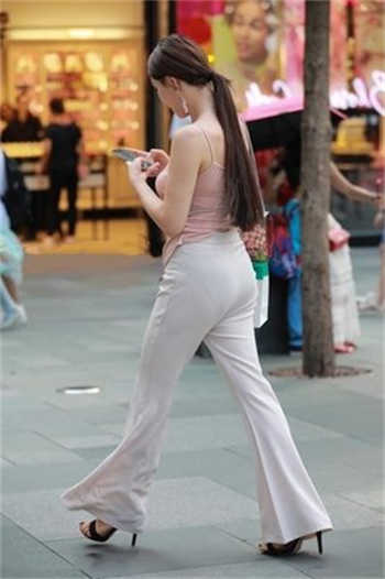 免费苍井老师电视