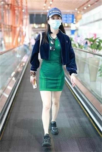 兽皇人和多种动物