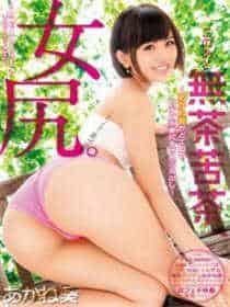 pr 九尾狐妖